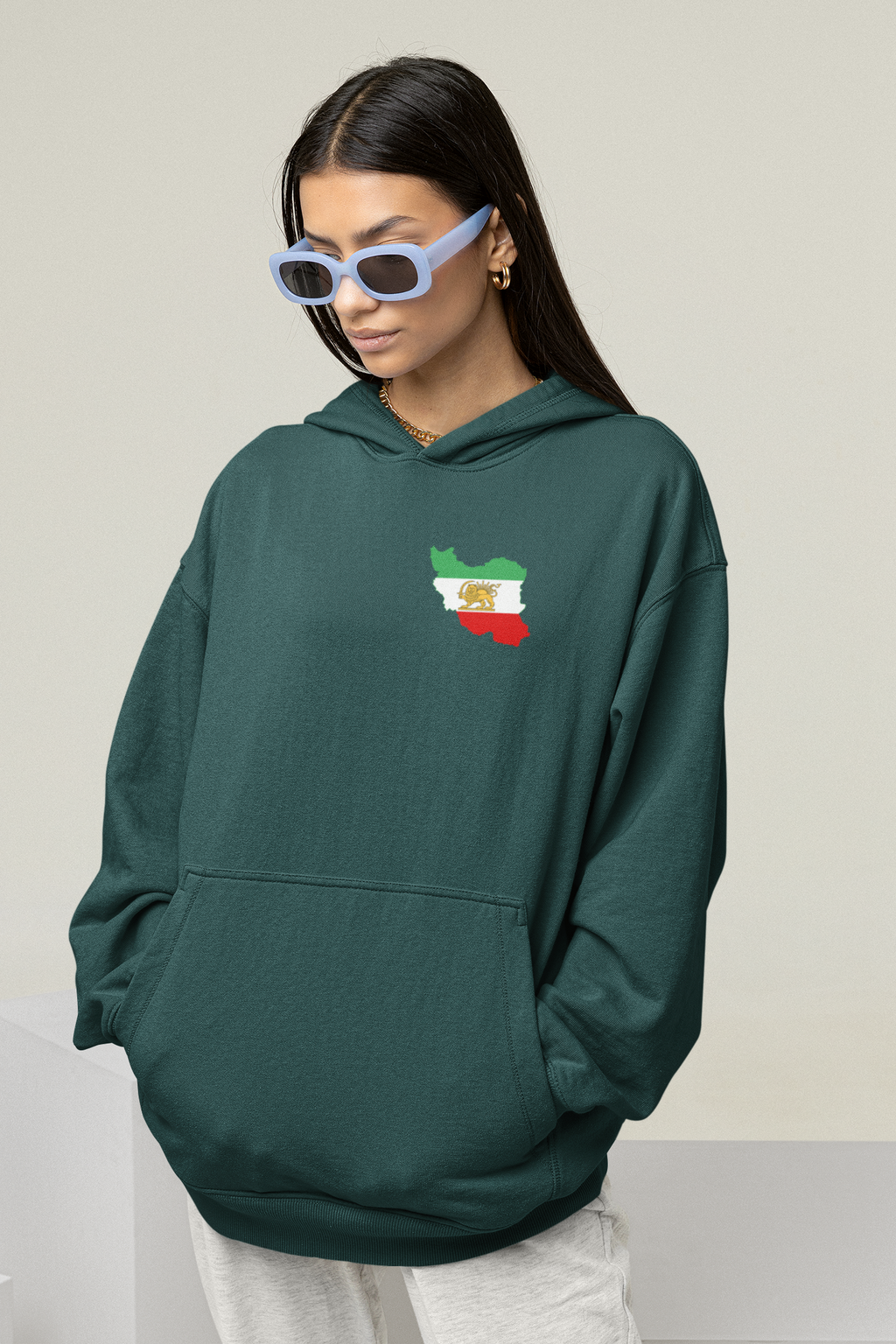 Lion and Sun Legacy Hoodie