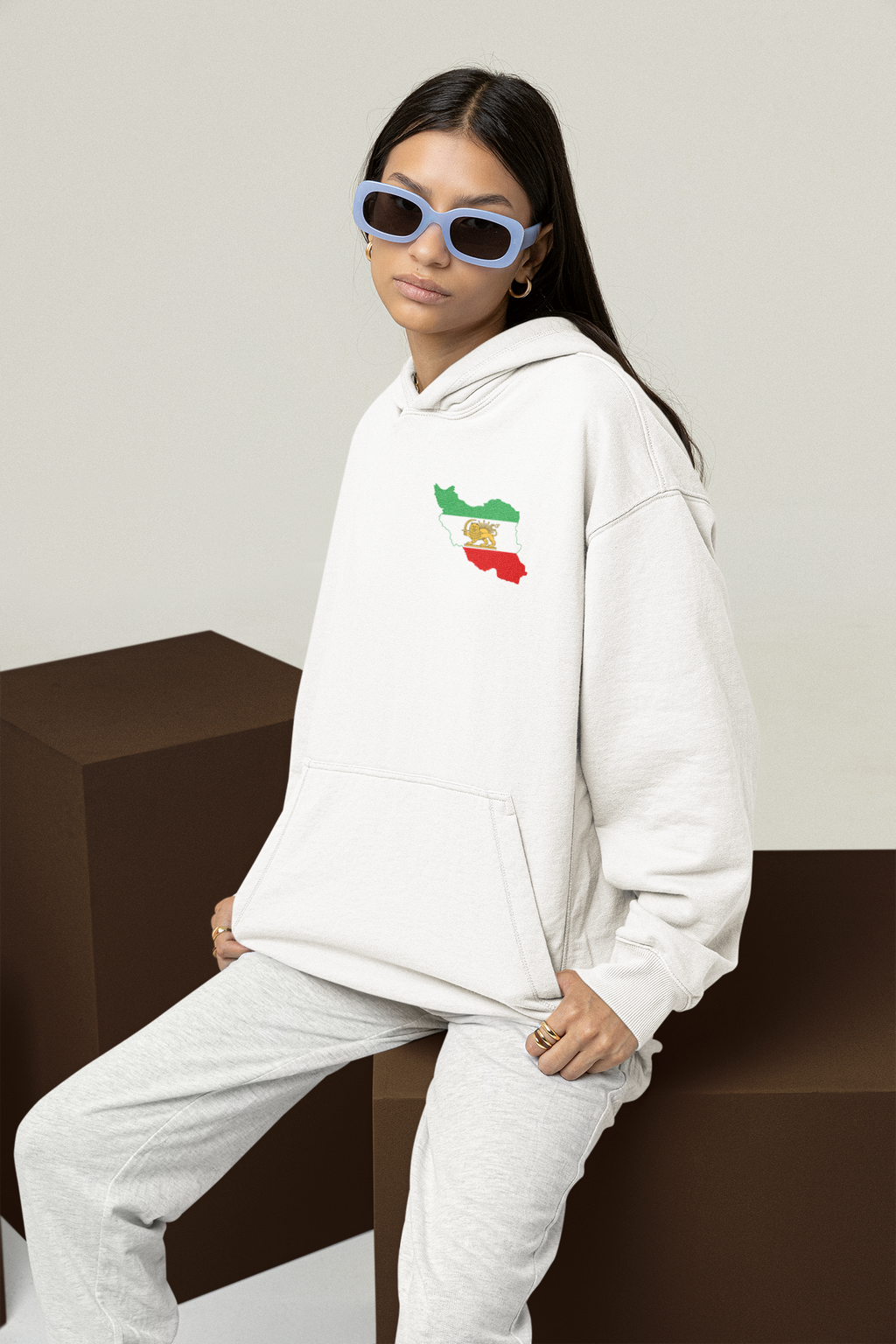 Lion and Sun Legacy Hoodie